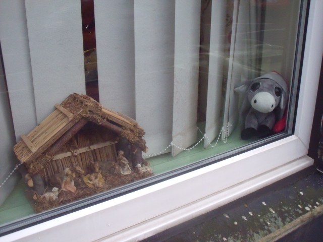 In the window