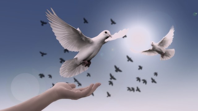 A dove coming to rest on an outstretched hand against a background of blue sky and doves in flight.