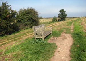 A seat on the Norfolk coastal path.