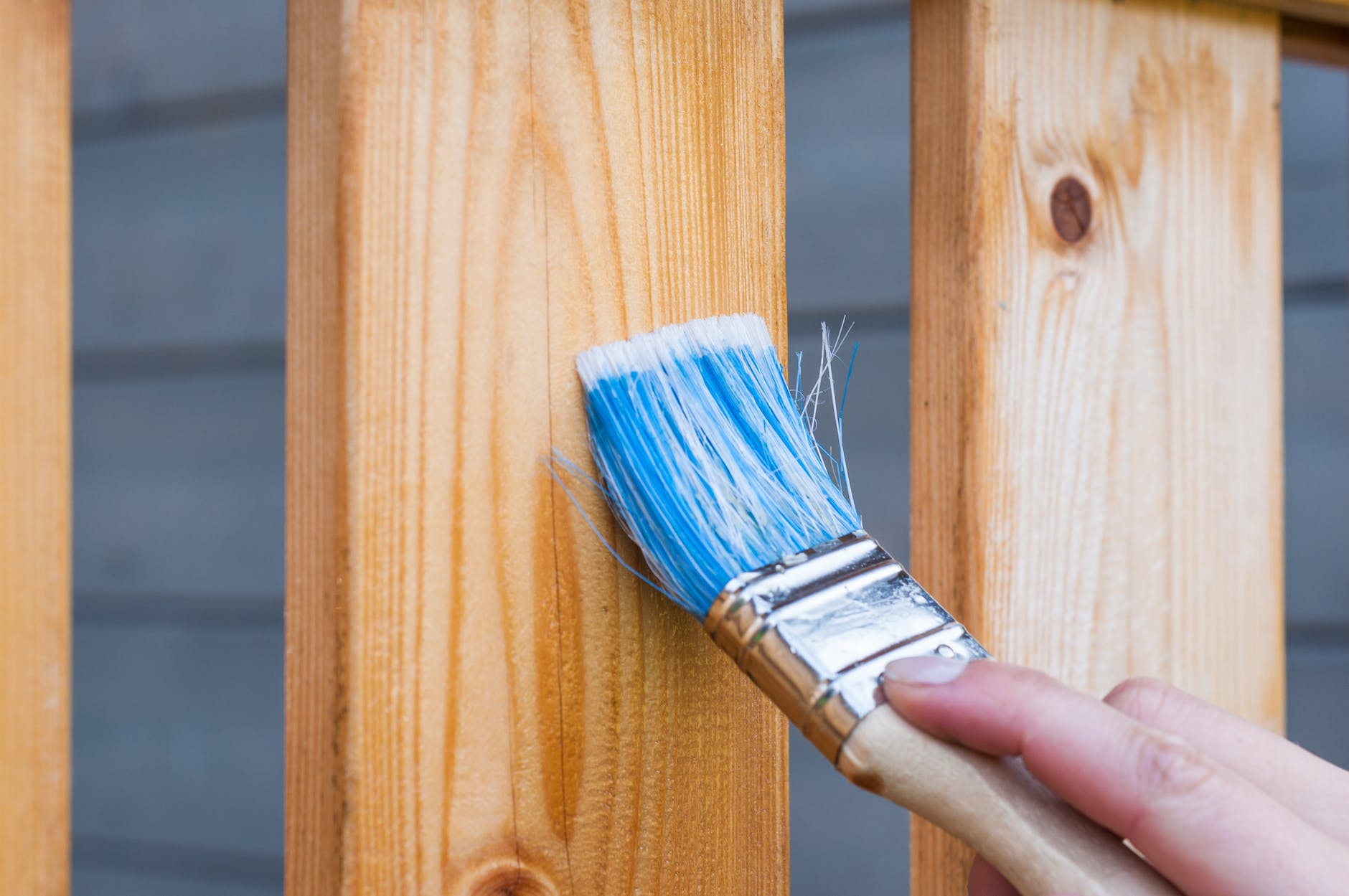 Varnishing a fence using a paint brush.