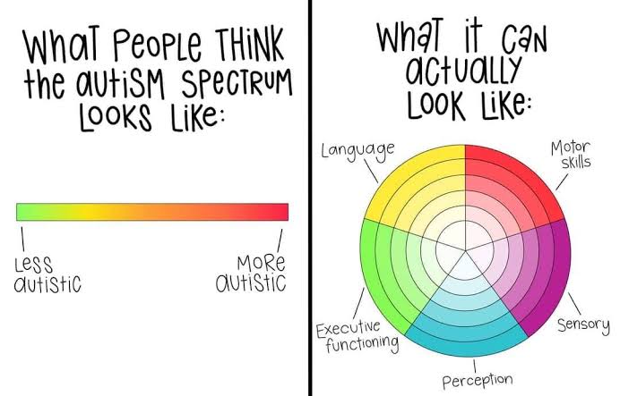 The imade is in two parts.
On the left the caption says, "What people think the autism spectrun looks like:" the image is of a straight line with less autistic at one side and more autistic at the other.
The right side is captioned. "What it can actually look like," The image is a circle divided into five equal sectors marked as Motor skills, Sensory, Perception, Executive functioning and Language.