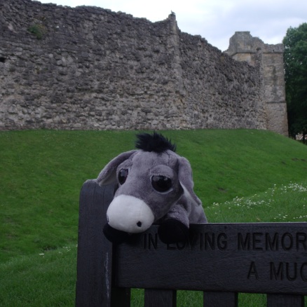 A toy plush toy donkey sits on top of a bench in front of the outer wall of Pickering Castle.